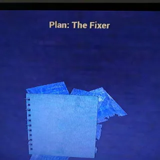 The Fixer