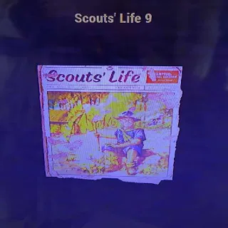 100 Scout's Life 9