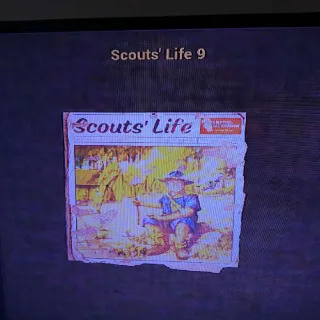 100 Scouts Life 9