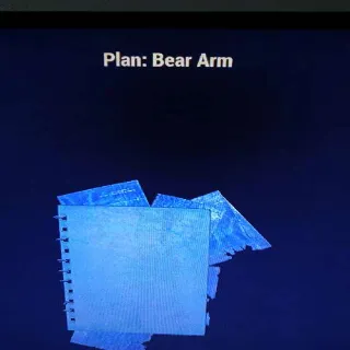 Bear Arm