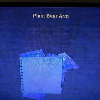 Bear Arm