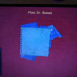 Dr Bones