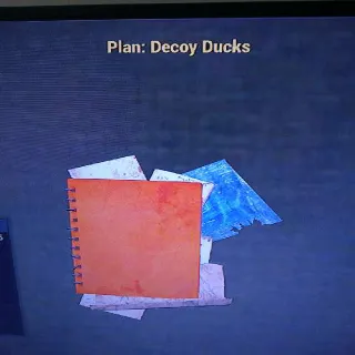 Decoy Ducks