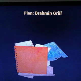 Brahmin Grill