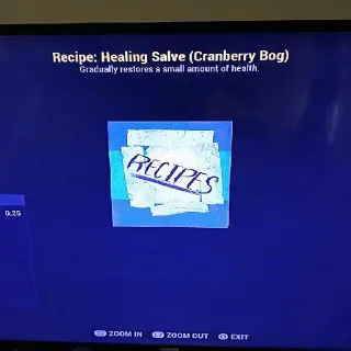 Healing Salve Cranberry