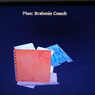 Brahmin Couch