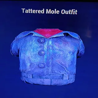 Tattered Mole Outfit W Head