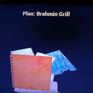 Brahmin Grill