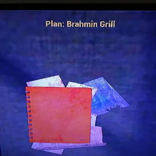 Brahmin Grill