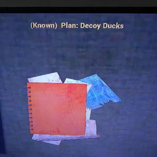 Decoy Ducks