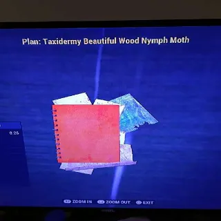 Taxidermy Beautiful Wood