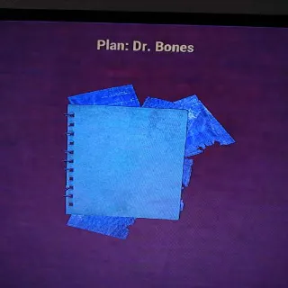 Dr Bones