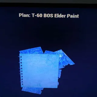 T60 Bos Elder Paint