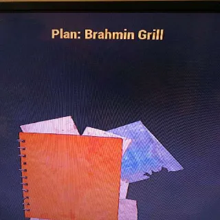 Brahmin Grill