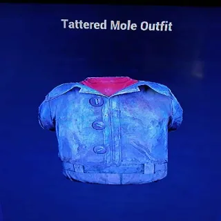 Tattered Mole Outfit W Head