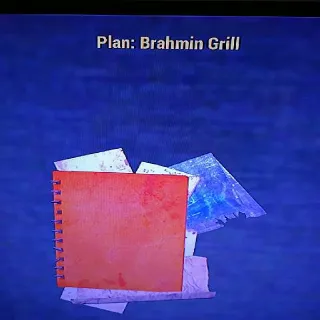 Brahmin Grill