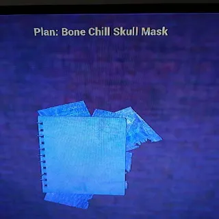 Bone Chill Skull Mask