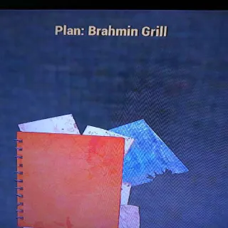 Brahmin Grill