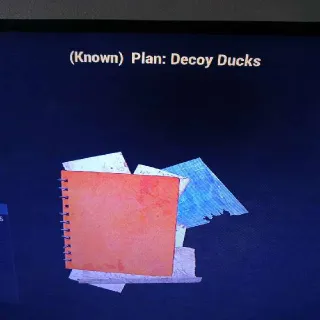 Decoy Ducks