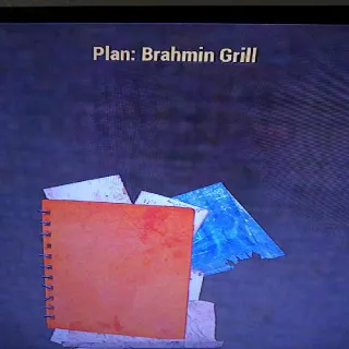 Brahmin Grill