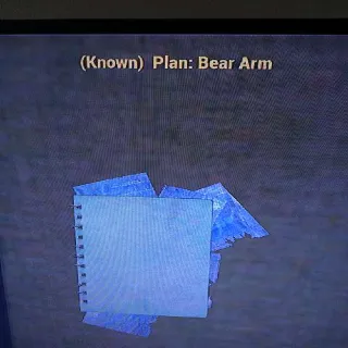 Bear Arm