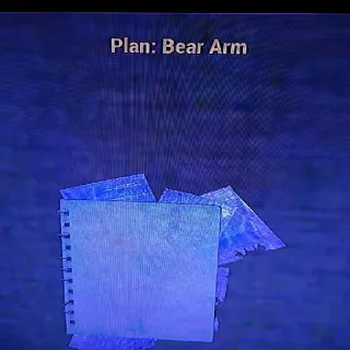 10 Bear Arm Plans