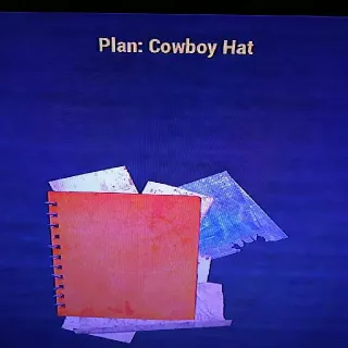 Cowboy Hat