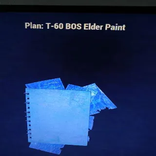 T60 Bos Elder Paint