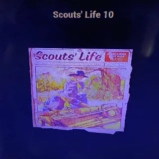 100 Scouts Life 10