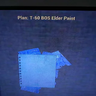 T60 Bos Elder Paint