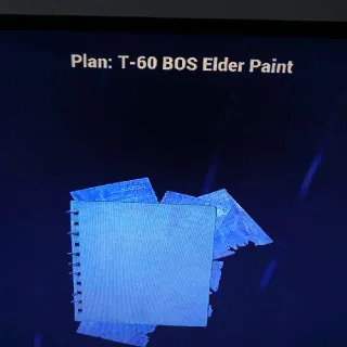 T60 Bos Elder Paint