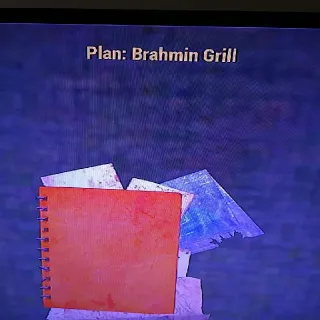 10 Brahmin Grill Plans