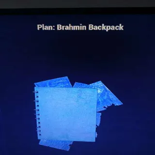 Brahmin Backpack