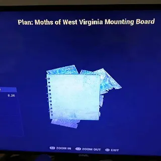 Moths Mounting Board