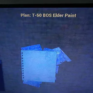 T60 Bos Elder Paint