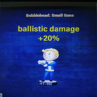 200 Small Guns Bobblehea