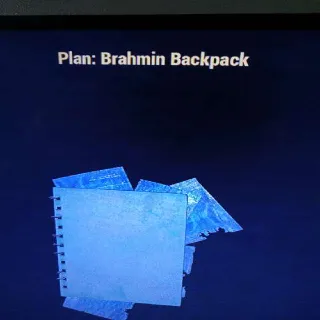 Brahmin Backpack