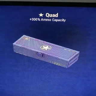 Quad Mod