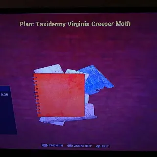 Taxidermy Virginia Creep