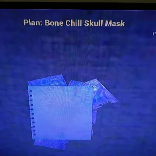 Bone Chill Skull Mask