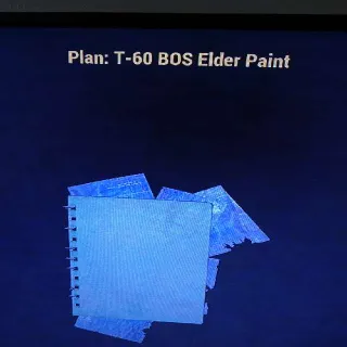 T60 Bos Elder Paint