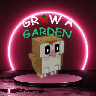 8x barn owl grow a garden
