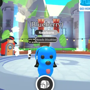 blue dog ride