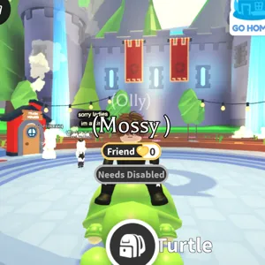 Turtle FR