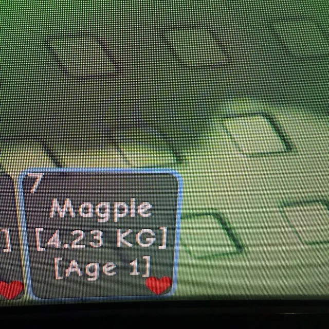 รายการภาพถ่าย