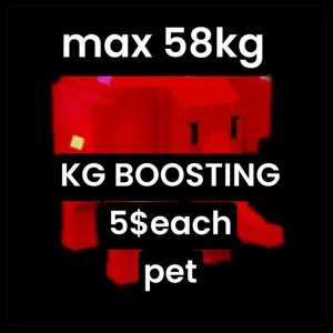 KG BOOSTING