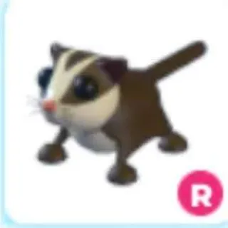 Sugar Glider R
