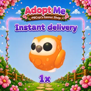 Clementine Owl