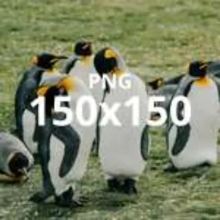 Gear Android Image test