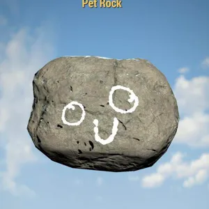 LOOKING TO BUY PET ROCK